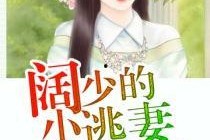 娱乐吃瓜酱妻子小说阅读