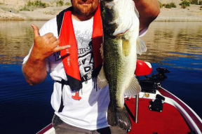 娱乐吃瓜钓鱼视频下载,一键下载收藏攻略