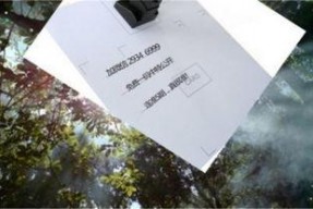 今日看料,揭秘最新资讯背后的故事